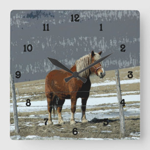 Belgian Draught Horse In Paddock Wall Clock Number