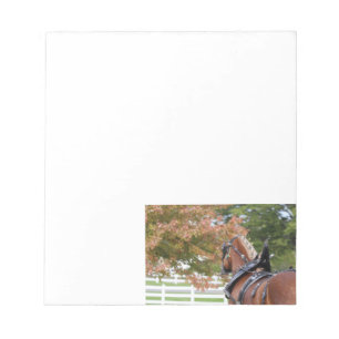 Belgian Draught Horse Notepad