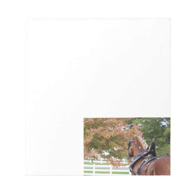 Belgian Draught Horse Notepad (Front)