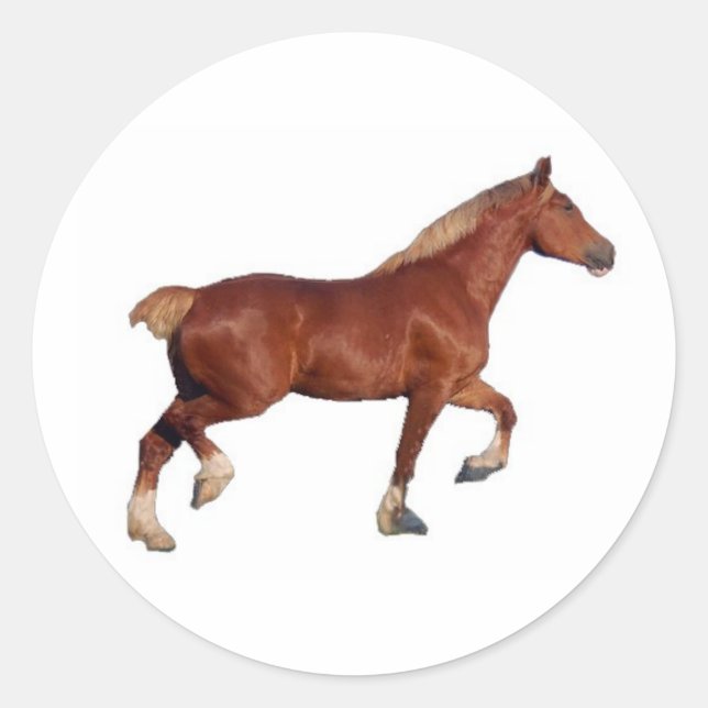 Belgian Draught Horse Sticker (Front)