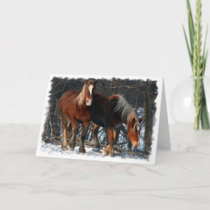 Belgian Draught   Horses Greeting Card