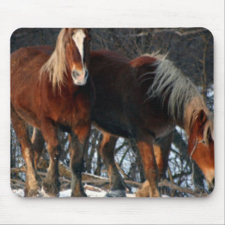 Belgian Draught   Horses Mouse Pad