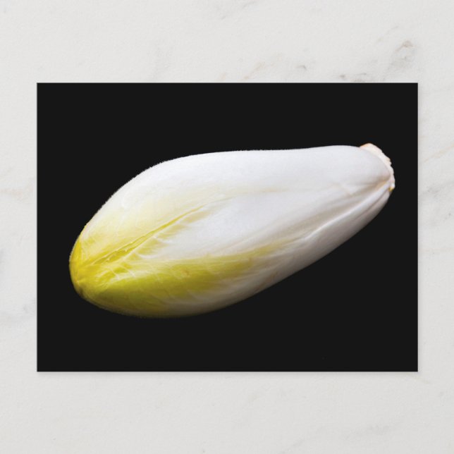 Belgian endive postcard (Front)