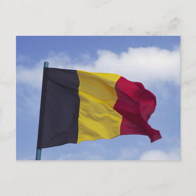 Belgian flag RF) Postcard (Front)