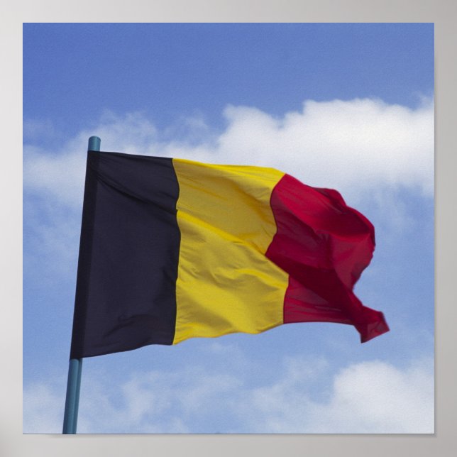 Belgian flag RF) Poster (Front)