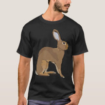 Belgian Hare Rabbit