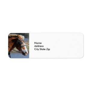 Belgian Horse Label