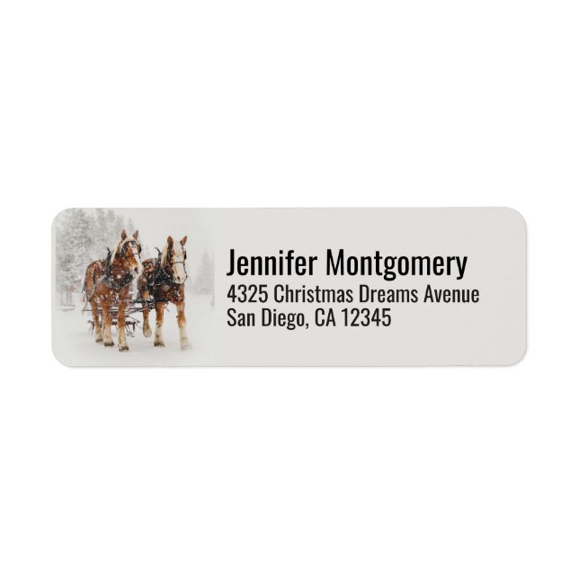 Belgian Horse Team Sleigh Bells Ring (Front)