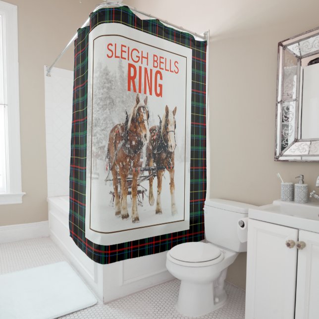 Belgian Horse Team Sleigh Bells Ring (In Situ)