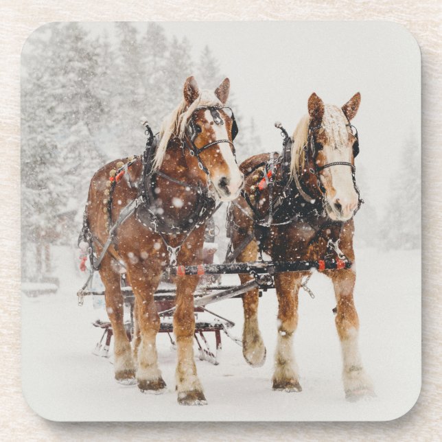 Belgian Horse Team Wintery Christmas Scene Coaster (Front)
