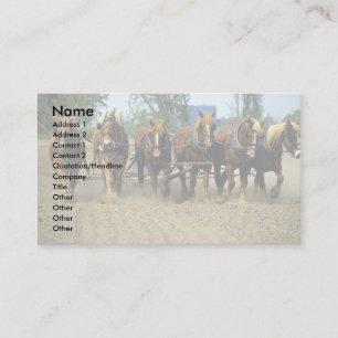 Belgian horses plowing, six-up, Red Top Farm, Cali Business Card
