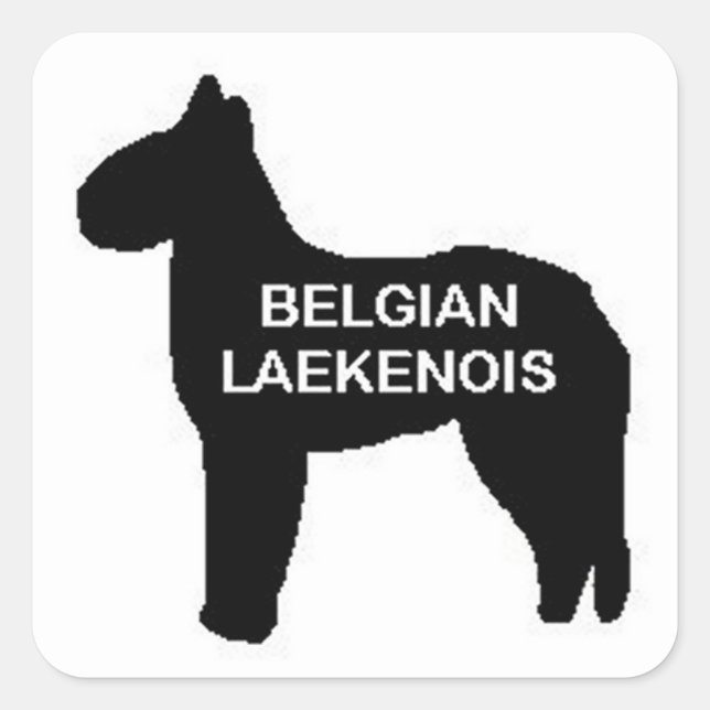 belgian laekenois name silo square sticker (Front)