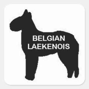 belgian laekenois name silo square sticker