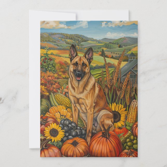 Belgian Malinoi Dog Autumn Harvest Thanksgiving Holiday Card (Front)