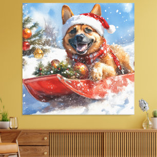 Belgian Malinoi in Sledge Let it Snow Christmas Canvas Print