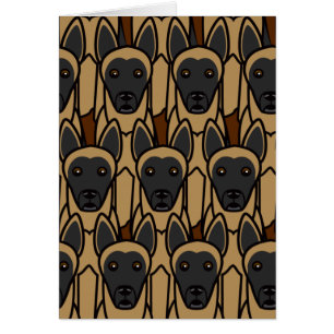 Belgian Malinois