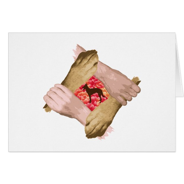 Belgian Malinois (Front Horizontal)