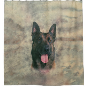 Belgian Malinois - Belgian shepherd -Maligator
