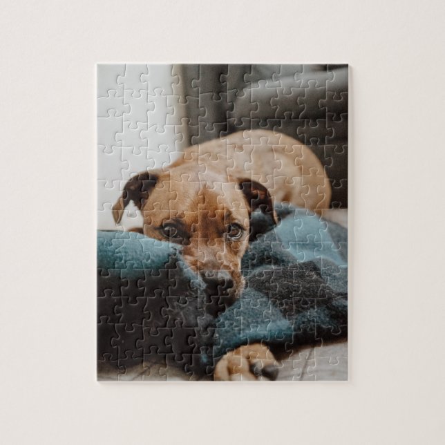 Belgian Malinois Boxer | Puppy on Blanket Photo Jigsaw Puzzle (Vertical)