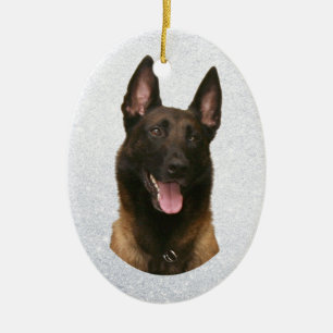 belgian malinois ceramic ornament