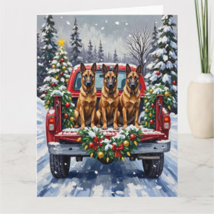 Belgian Malinois Christmas Red Truck Holiday Card