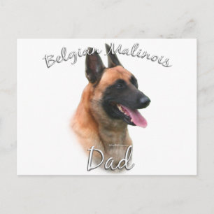 Belgian Malinois Dad 2 Postcard