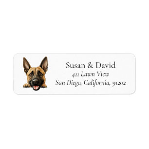 Belgian Malinois Dog Breed Pet Lovers