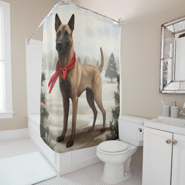 Belgian Malinois Dog in Snow Christmas (In Situ)