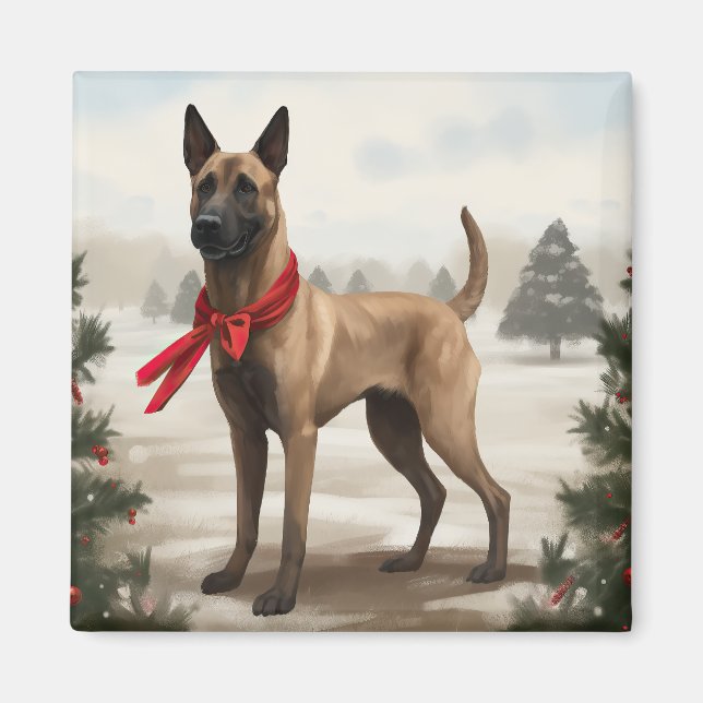 Belgian Malinois Dog in Snow Christmas Magnet (Front)