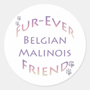 Belgian Malinois Furever Classic Round Sticker