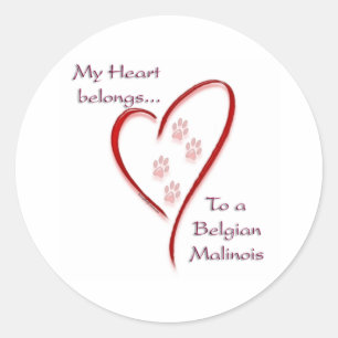 Belgian Malinois Heart Belongs Classic Round Sticker