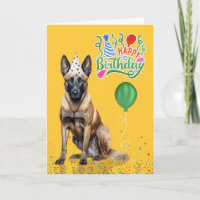 Belgian Malinois in Party Hat on Yellow Birthday