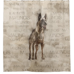 Belgian Malinois - Mechelaar  - Maligator