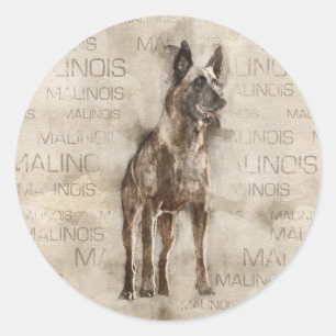 Belgian Malinois - Mechelaar - Maligator Classic Round Sticker