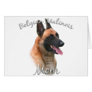 Belgian Malinois Mom 2