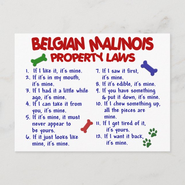 BELGIAN MALINOIS PL2 POSTCARD (Front)