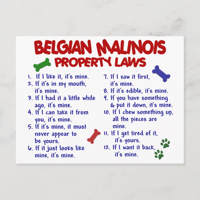 BELGIAN MALINOIS PL2 POSTCARD (Front)