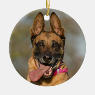 Belgian Malinois Puppy Dog Ceramic Ornament