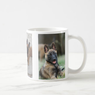 Belgian Malinois Puppy Mug