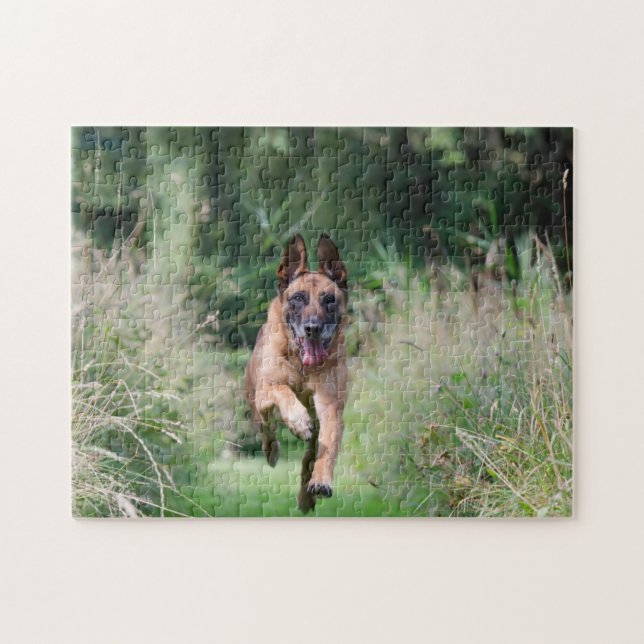 Belgian Malinois Running Jigsaw Puzzle (Horizontal)