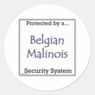 Belgian Malinois Security System Sticker
