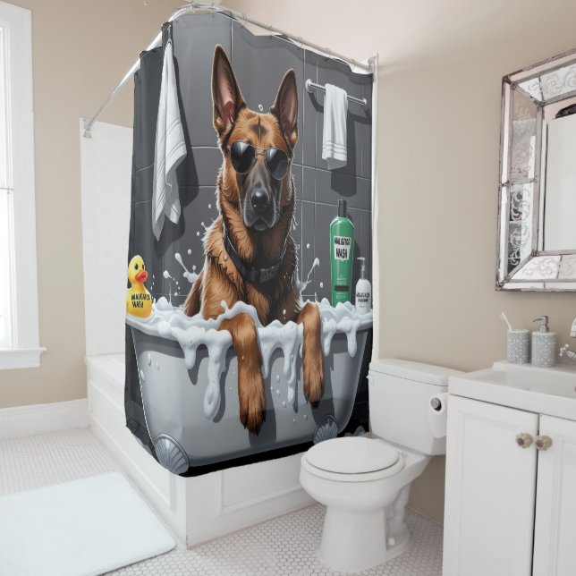 Belgian Malinois Sloppy Sleepy Cute Funny (In Situ)