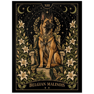Belgian Malinois, Starlit Tarot Art Postcard