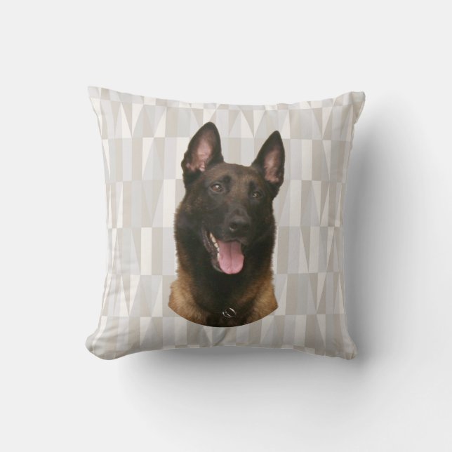 belgian malinois throw pillow (Front)