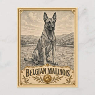 Belgian Malinois, Vintage Heritage Dog Postcard
