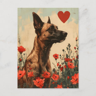 Belgian Malinois Vintage Valentine's day Postcard