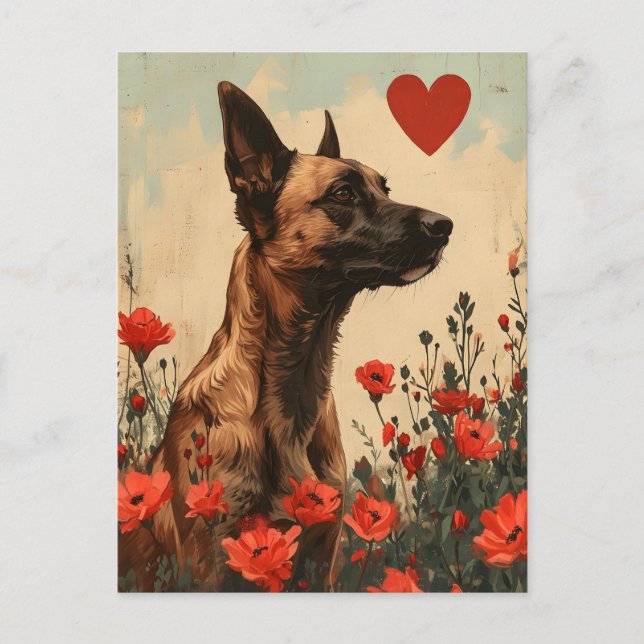 Belgian Malinois Vintage Valentine's day Postcard (Front)