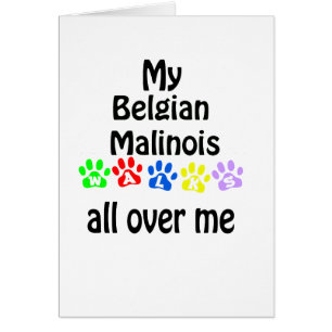 Belgian Malinois Walks Design