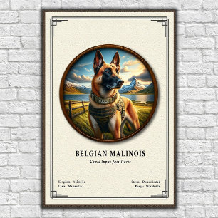 Belgian Malinois Zoology Series Poster