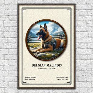 Belgian Malinois Zoology Series Poster